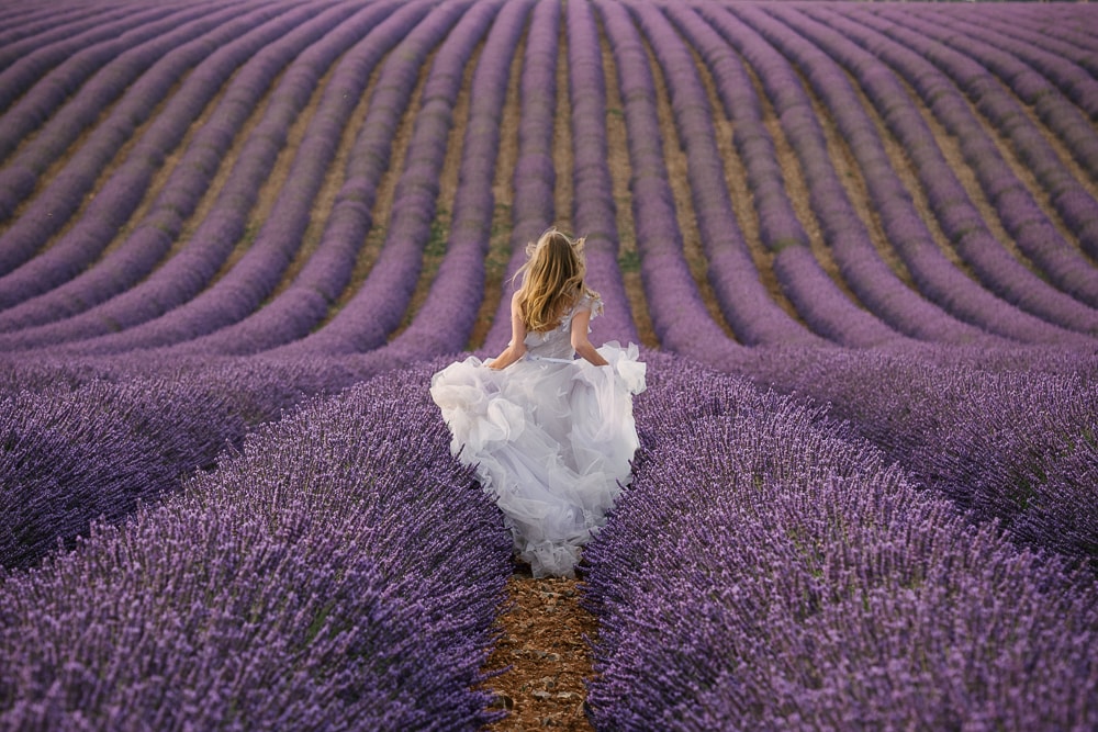 Bride running in the lavender fields in provence