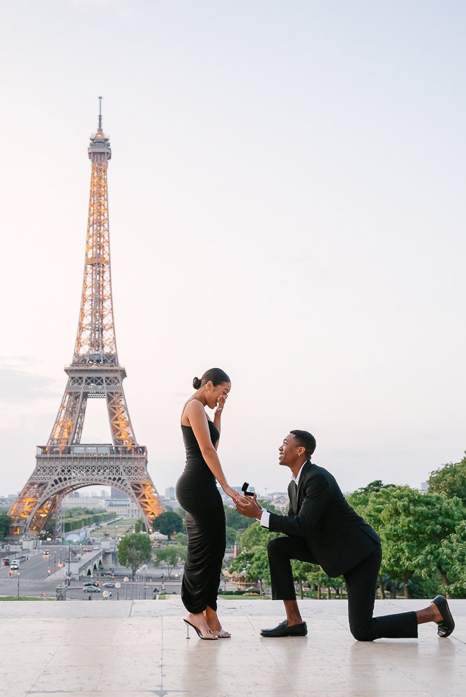 Eiffel Tower proposal in Paris by Trocadero