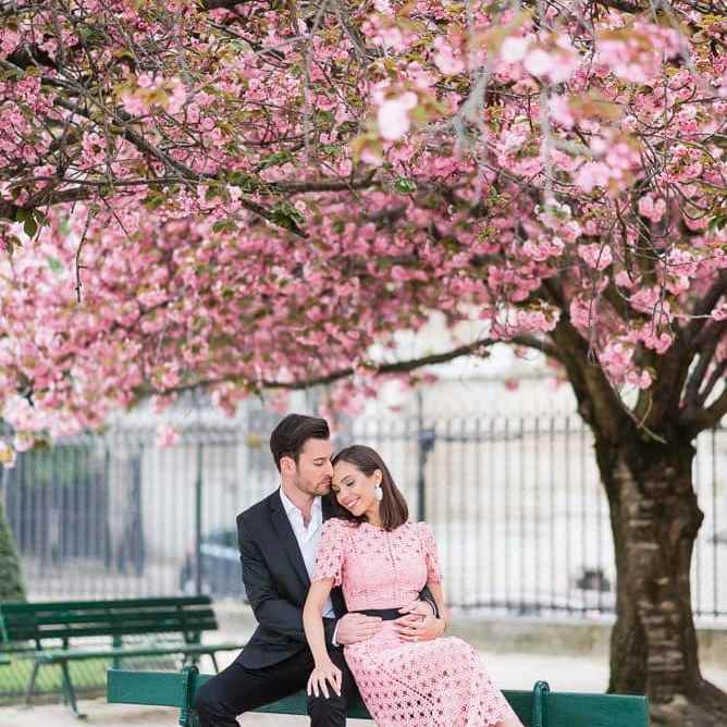 most romantic spots in paris cherry blossoms by the notre dame