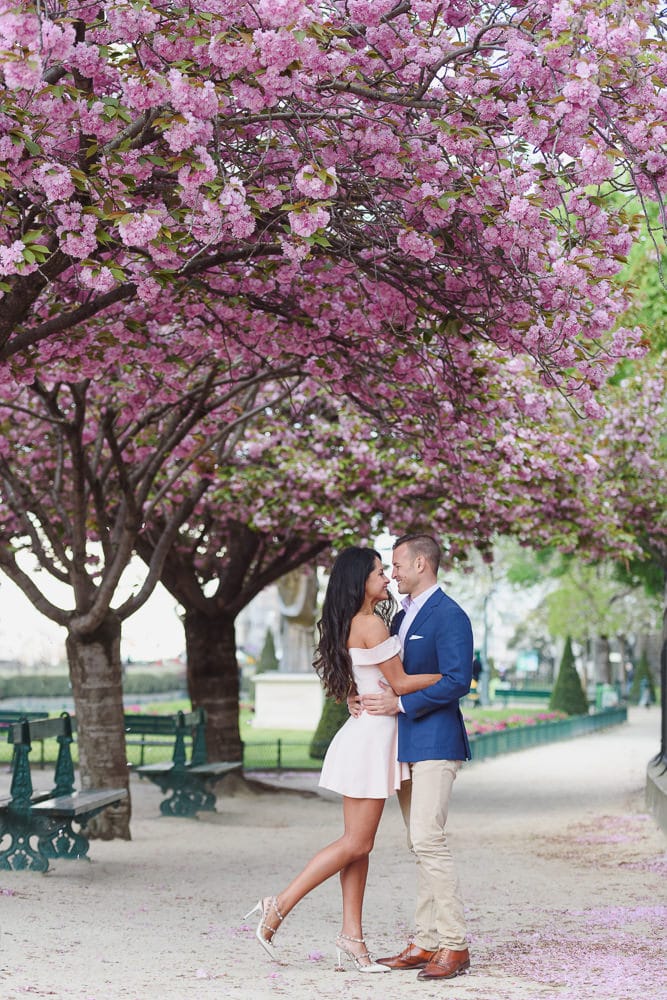 photographs of couples under the cherry blossoms by the Notre Dame cathedral