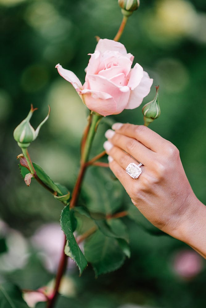 proposal photographer paris - close-up of 5 carats diamond ring on a pink rose