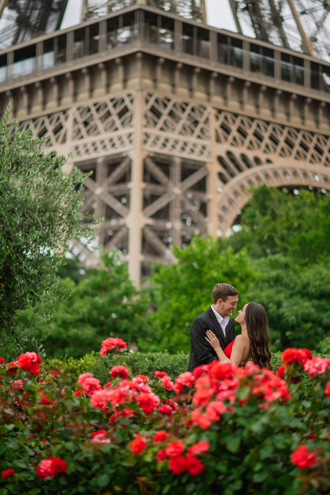 Red roses and the Eiffel tower