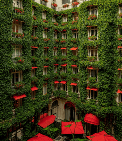 interior garden of the hotel Plaza Athenee in Paris with greenery on walls and red umbrellas